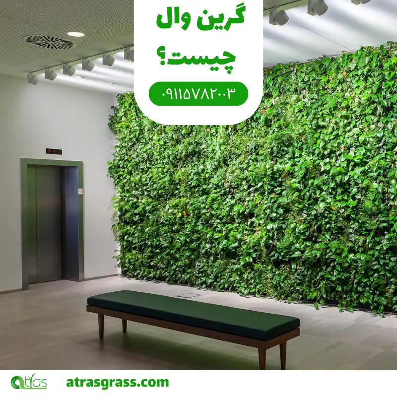 دیوار سبز یا گرین وال چیست?