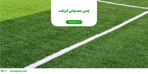 چمن مصنوعی کریکت: ویژگی‌ها، مزایا و نکات مهم