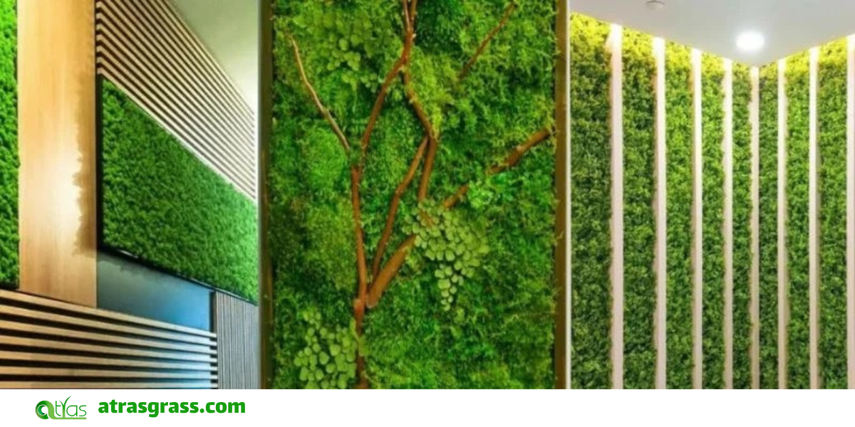 تزیین باشگاه با چمن مصنوعی و led